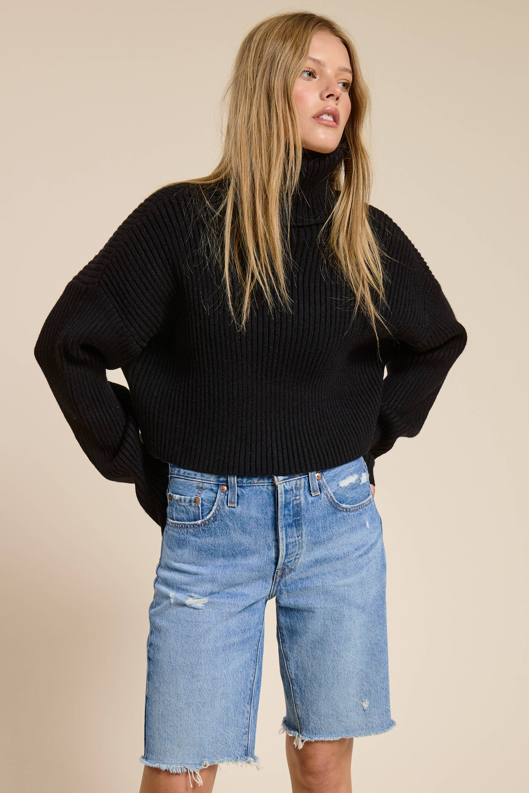 Sera Cropped Ribbed Turtleneck