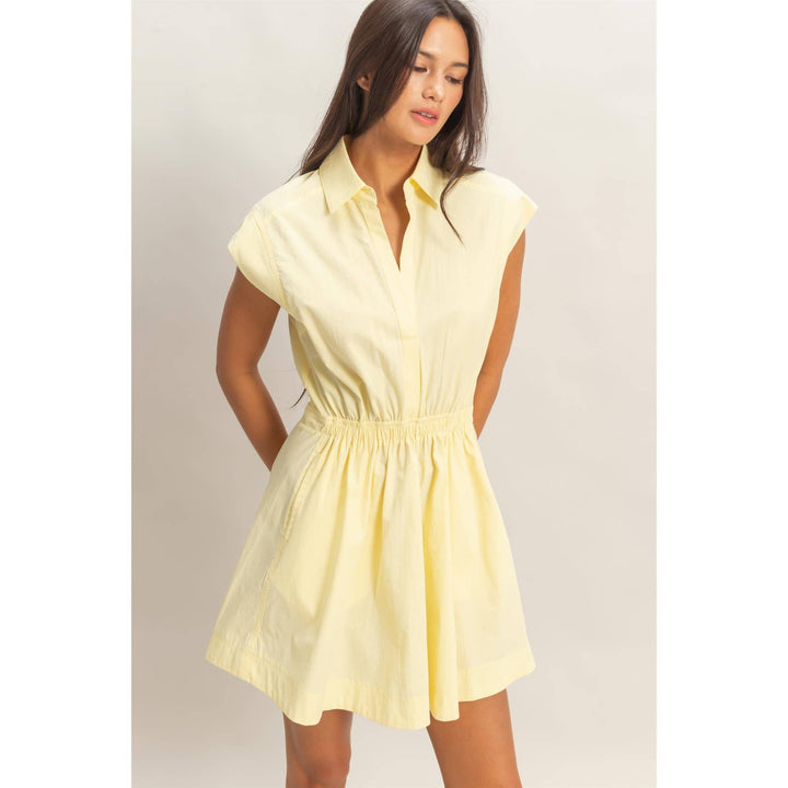 Rumi Sleeveless Collared Mini Dress