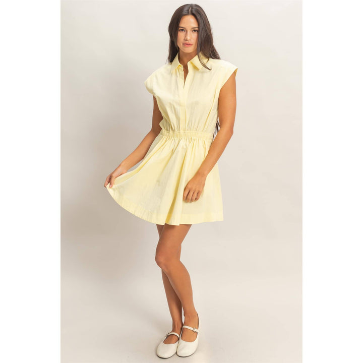 Rumi Sleeveless Collared Mini Dress